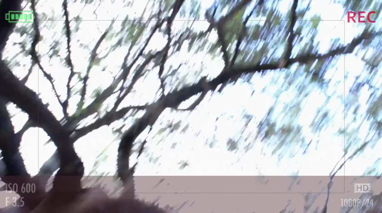 The Sigil screenshot 3