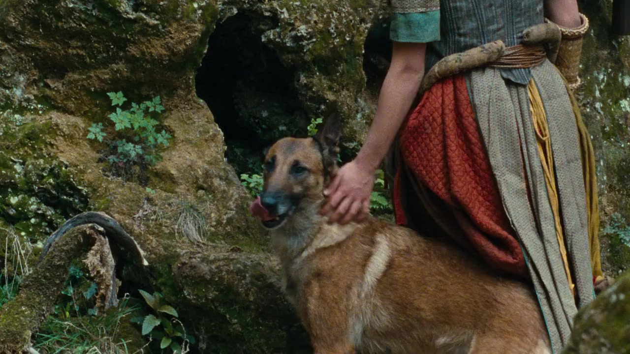 The Vintner's Luck screenshot 1