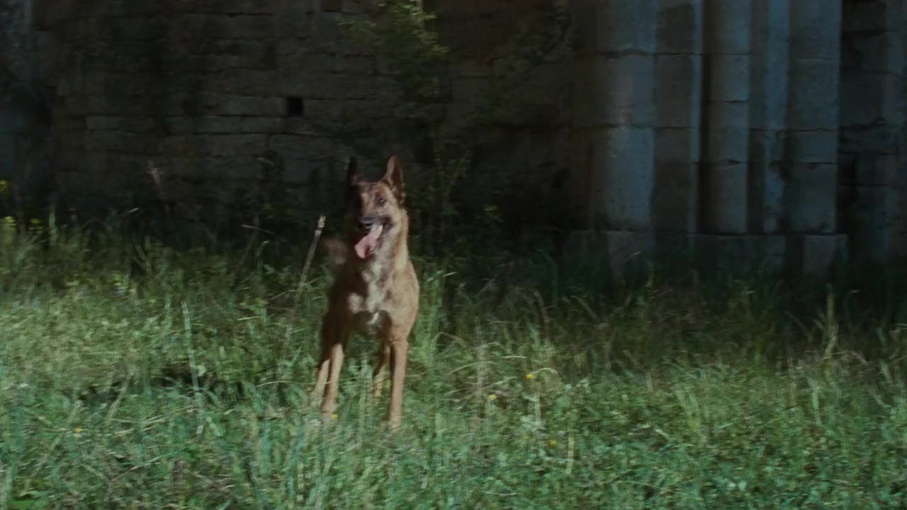 The Vintner's Luck screenshot 3