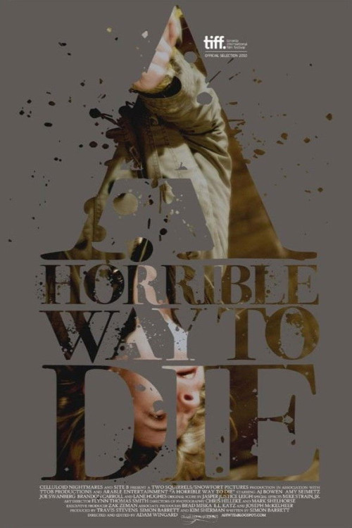 A Horrible Way to Die (2010) poster