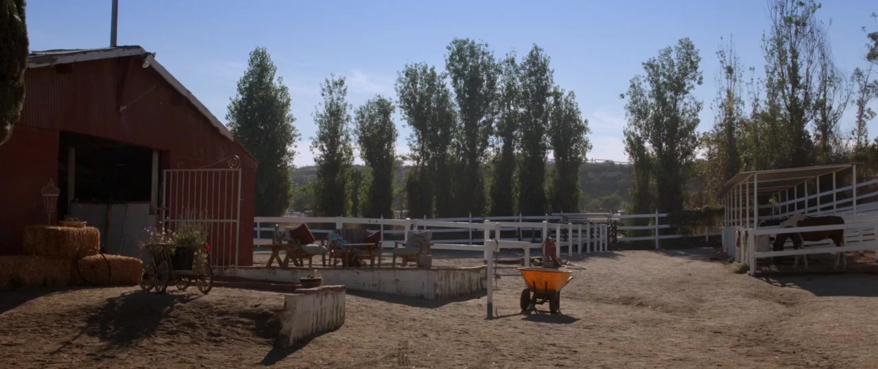 A Horse from Heaven screenshot 2