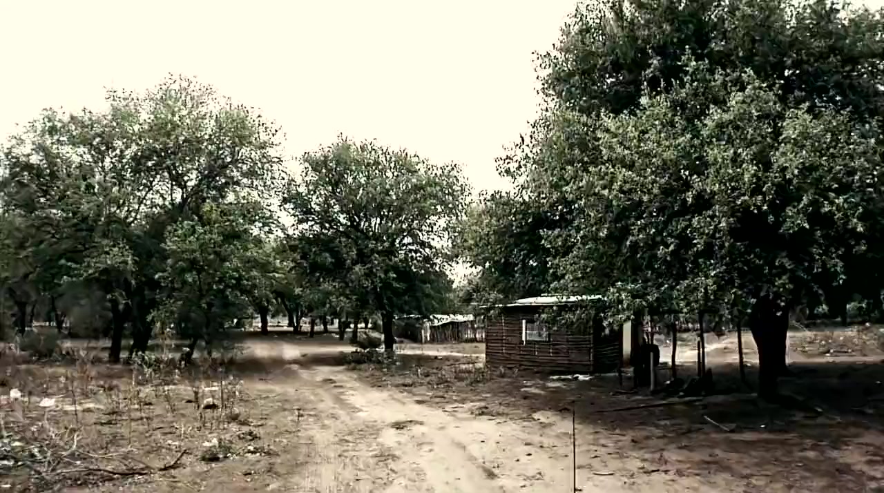 A Journey to the Fumigated Towns screenshot 3