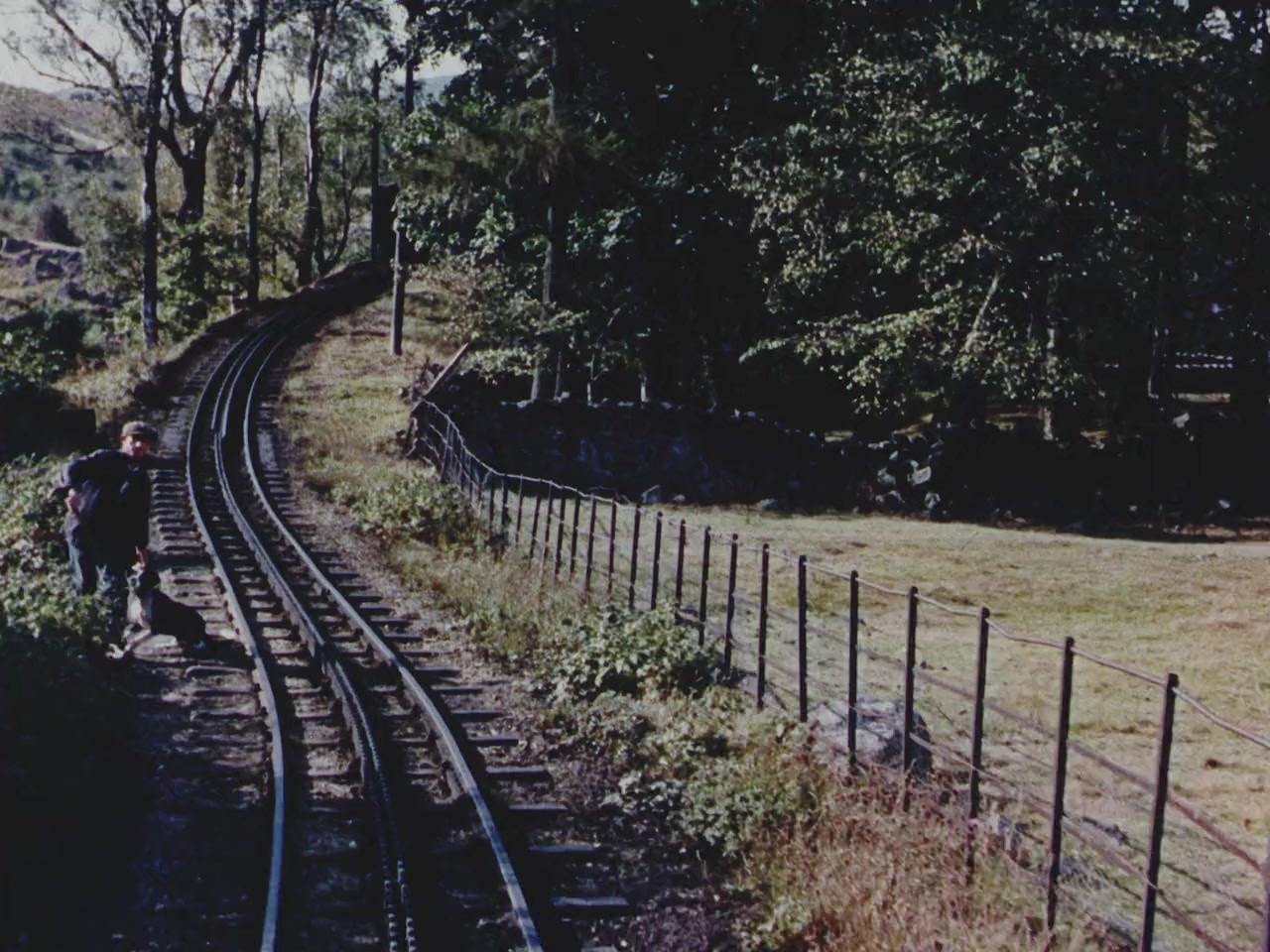 A Letter for Wales screenshot 1
