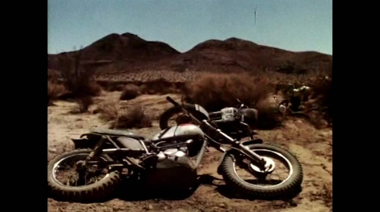 A Life of Endless Summers: The Bruce Brown Story screenshot 1