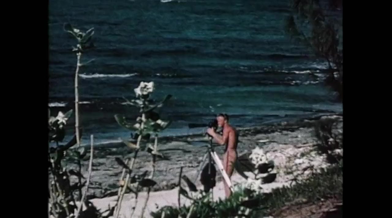 A Life of Endless Summers: The Bruce Brown Story screenshot 2
