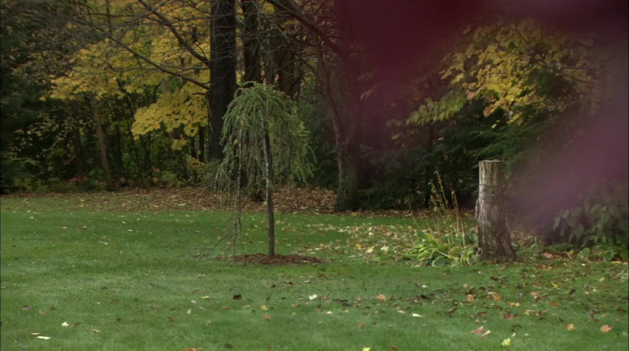 A Life Interrupted screenshot 3