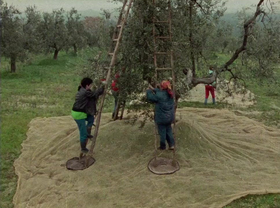 Un petit monastère en Toscane screenshot 2