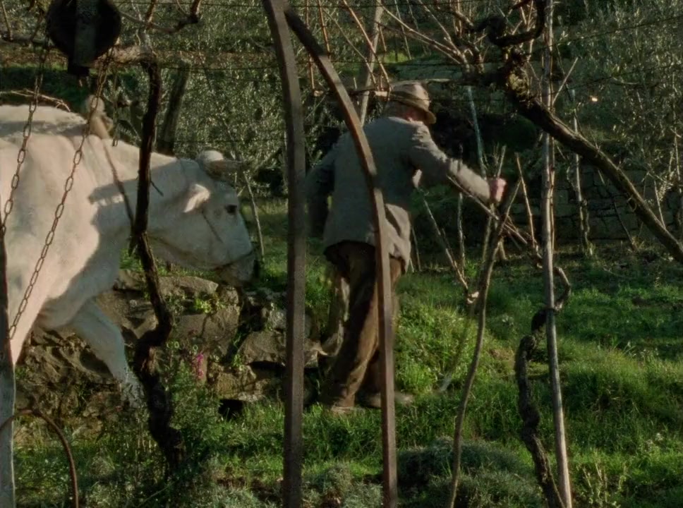 Un petit monastère en Toscane screenshot 3