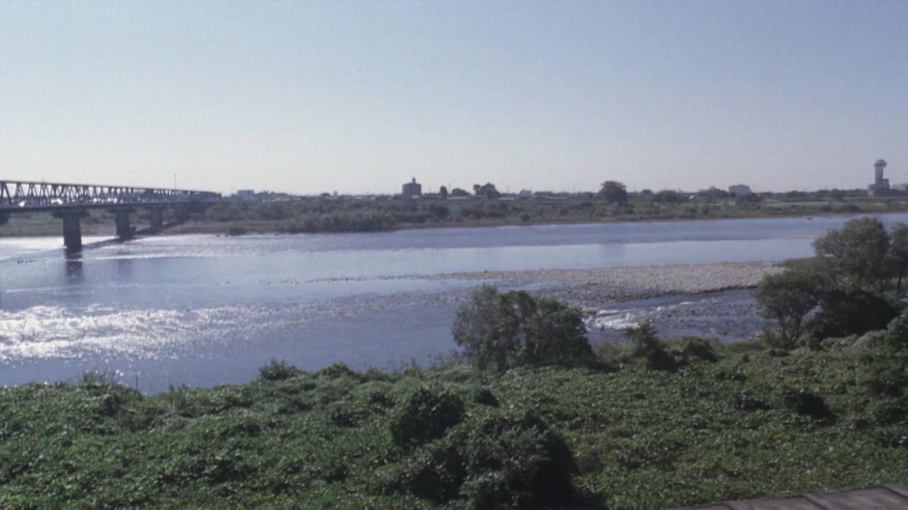 Nagai sanpo screenshot 3