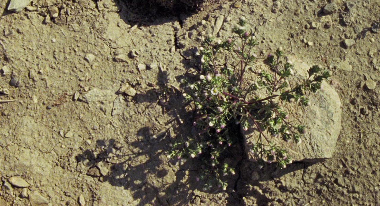 A Love Song screenshot 1