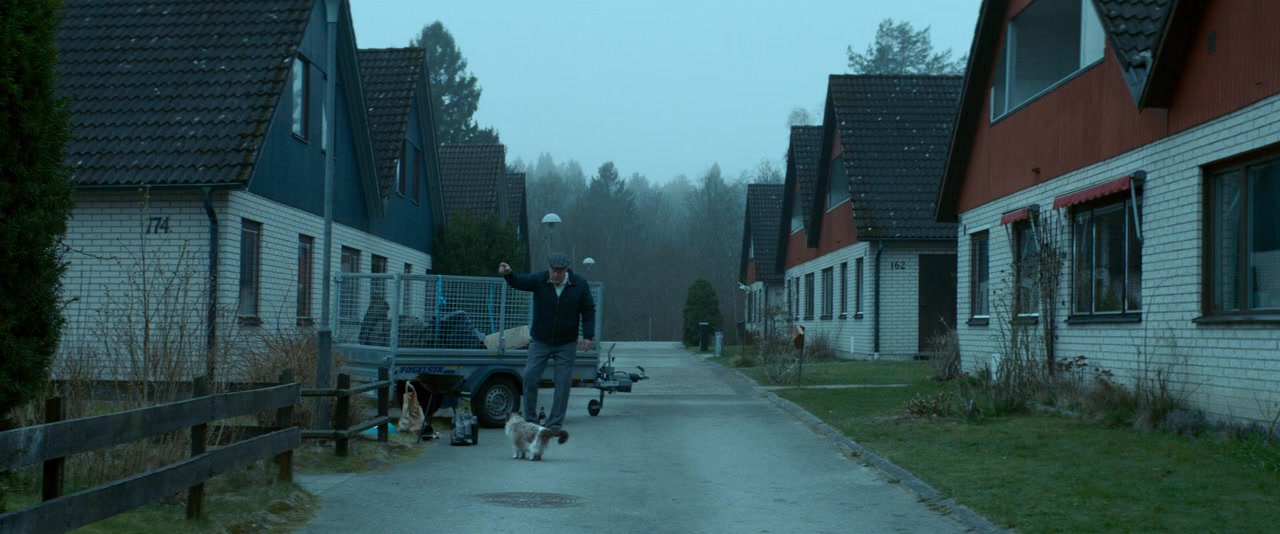 En man som heter Ove screenshot 3