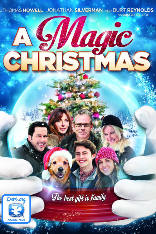 A Magic Christmas (2014) poster