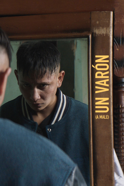 Un varón (2022) poster