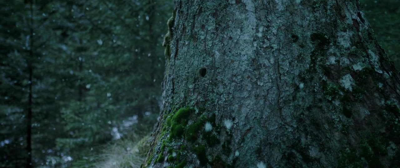 Minuscule 2: Les mandibules du bout du monde screenshot 1