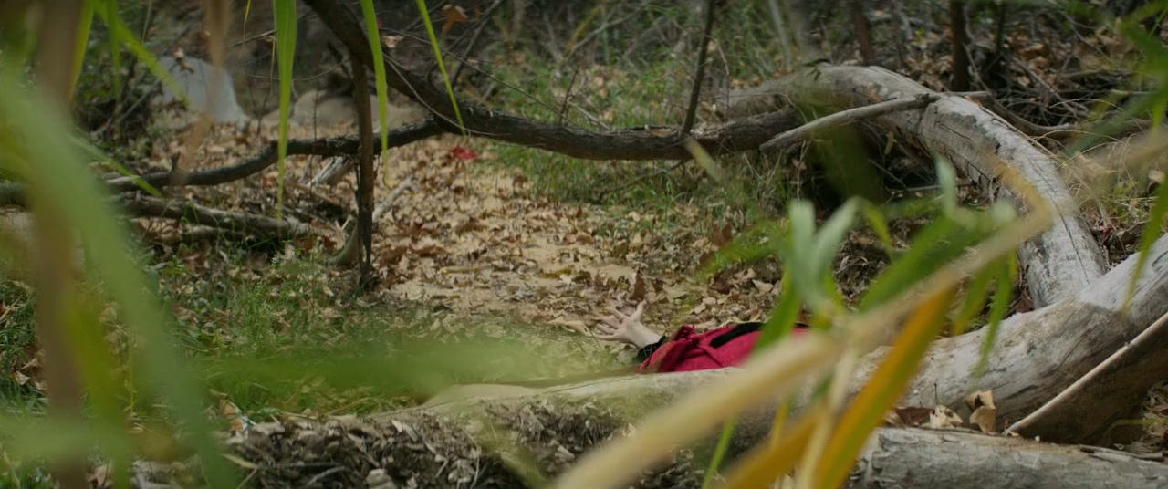A Midsummer Night's Dream screenshot 2