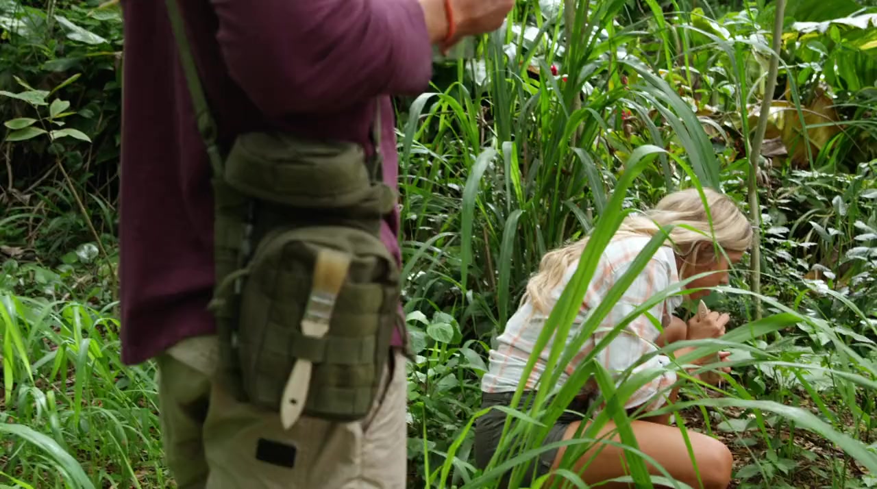 A Midsummer's Hawaiian Dream screenshot 3