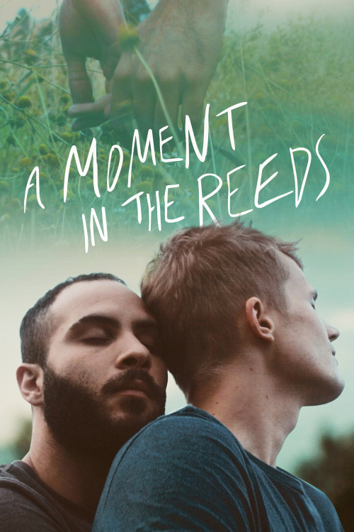 A Moment in the Reeds (2017) poster