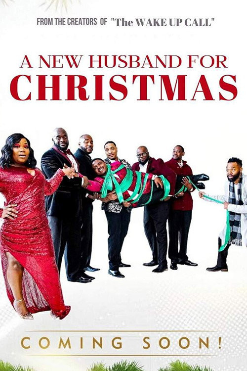 A New Husband for Christmas (2020) poster