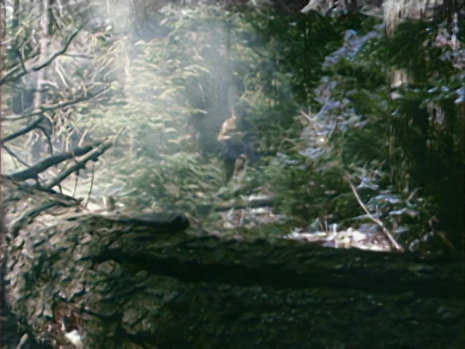 A Nymphoid Barbarian in Dinosaur Hell screenshot 2