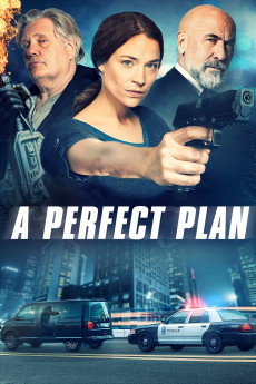 A Perfect Plan (2020) poster