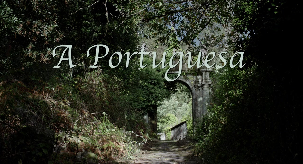 A Portuguesa screenshot 2