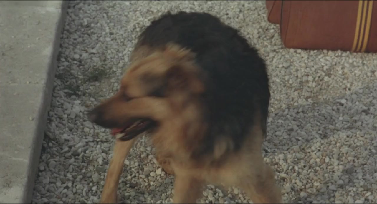 Amanti screenshot 2