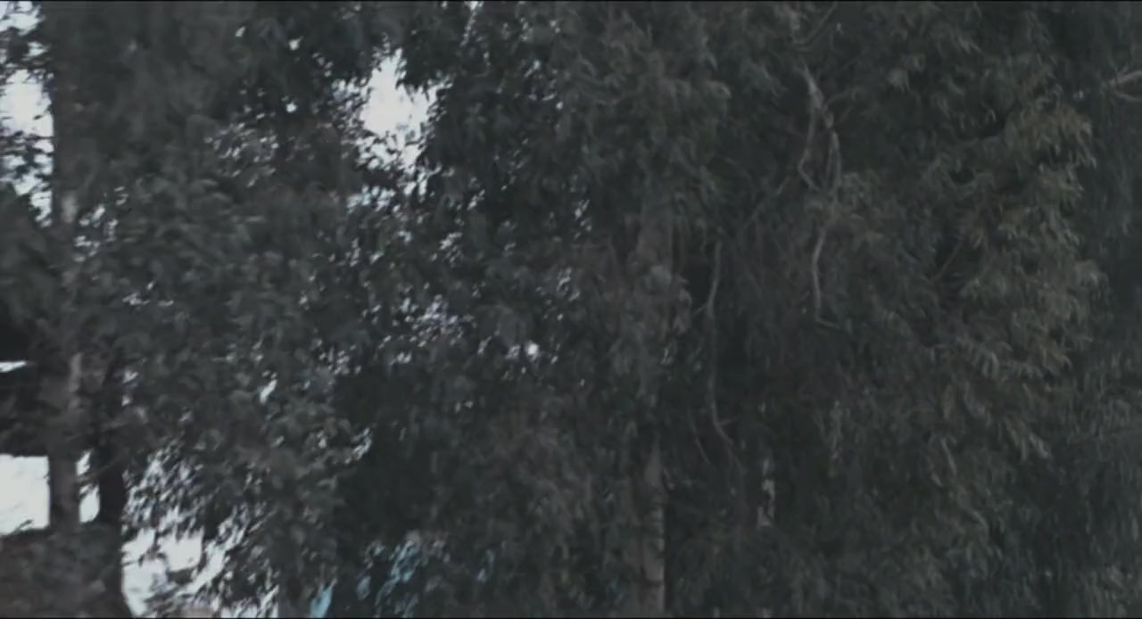 Amanti screenshot 3