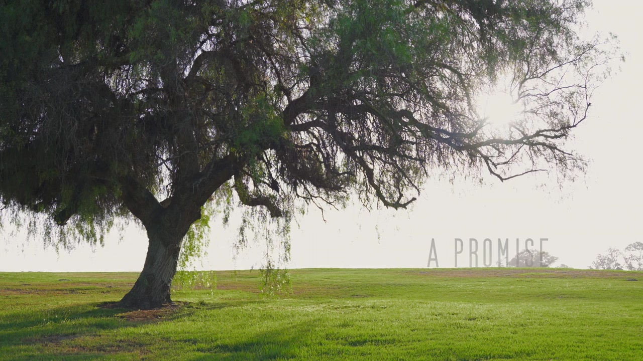 A Promise screenshot 1