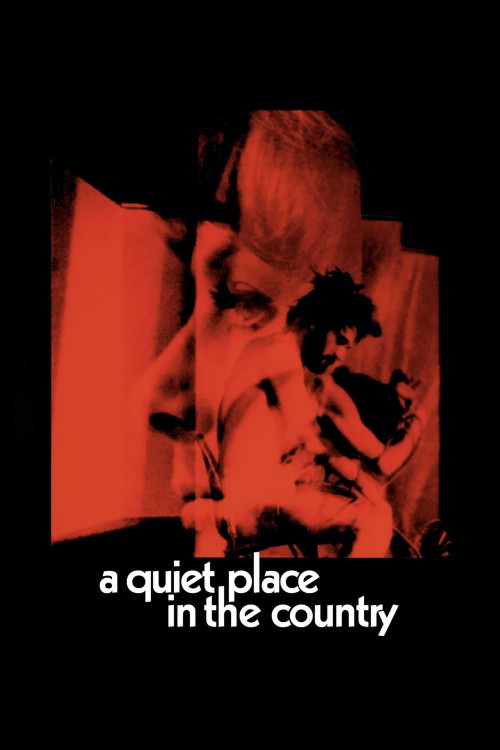 Un tranquillo posto di campagna (1968) poster