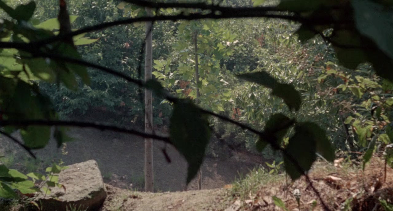 Un tranquillo posto di campagna screenshot 1
