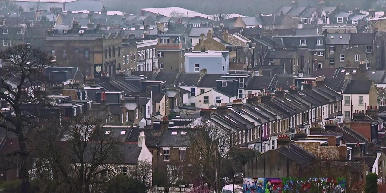A Radical Life screenshot 1