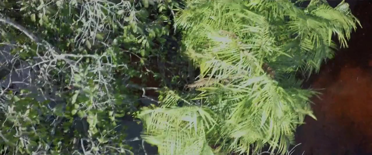 A River Below screenshot 1