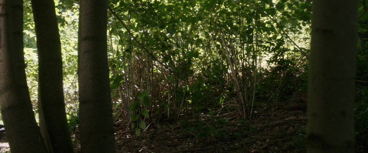 A Score to Settle screenshot 1