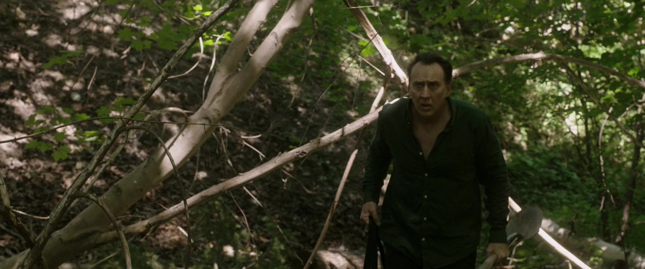 A Score to Settle screenshot 2