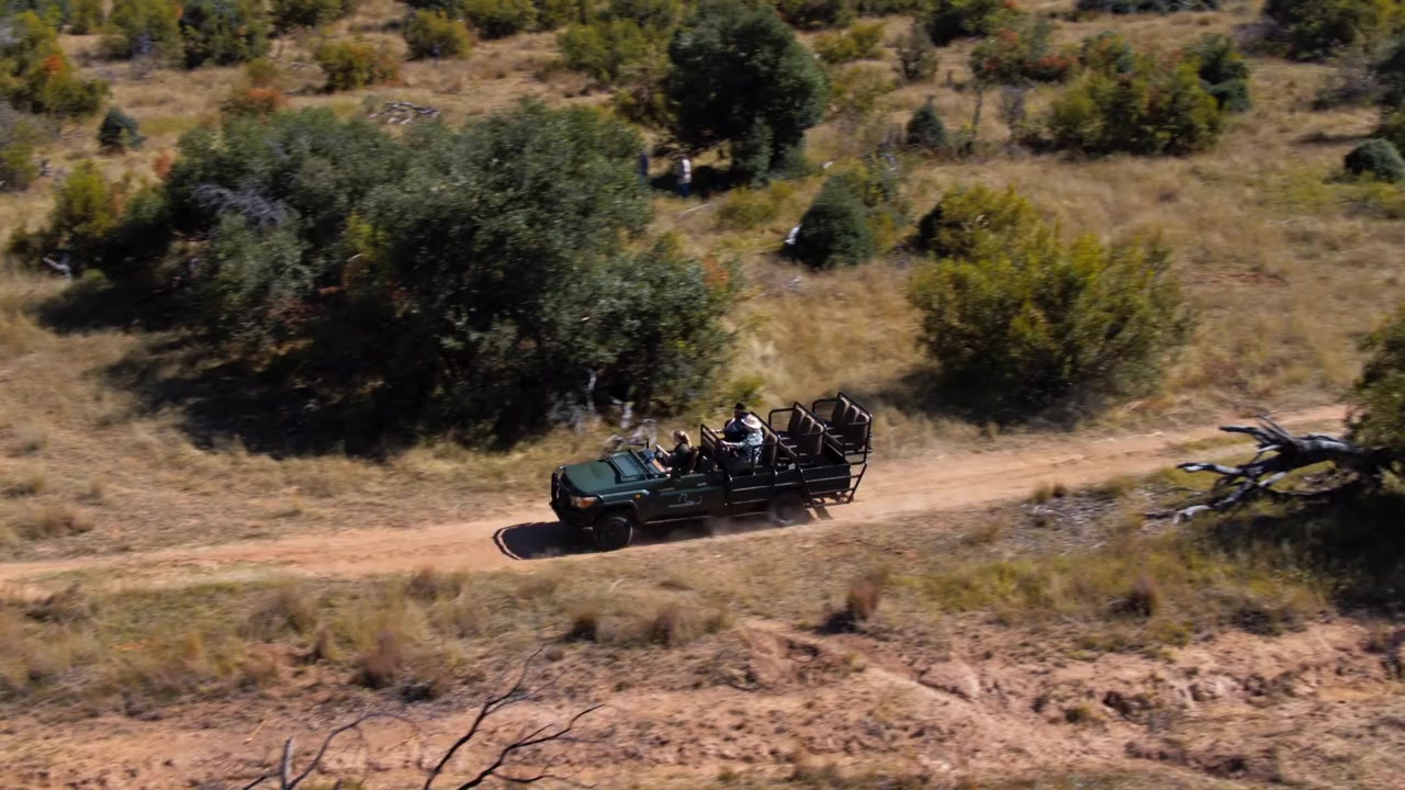 A Safari Romance screenshot 1