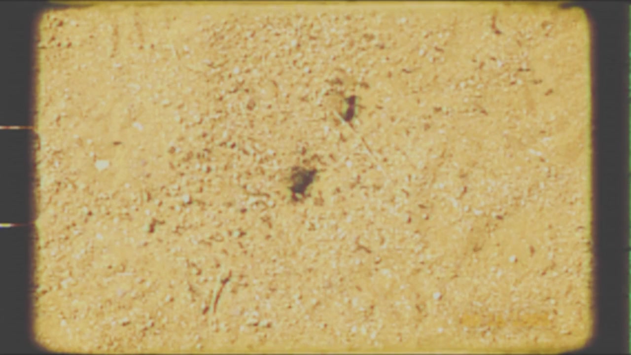 A Sense of Dread screenshot 2