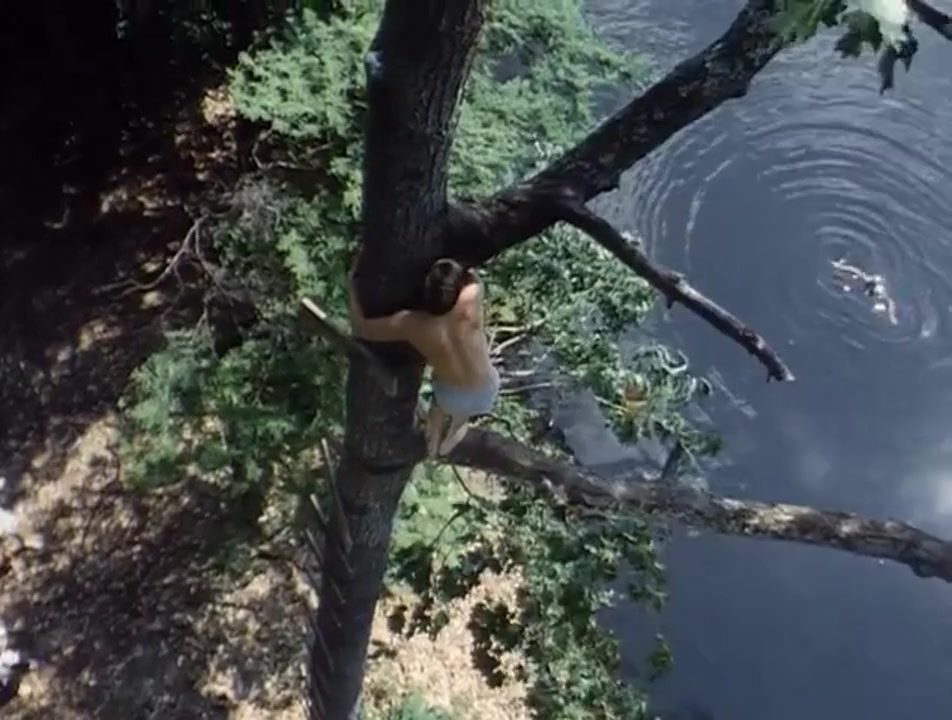 A Separate Peace screenshot 3