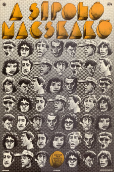 A sípoló macskakö (1972) poster