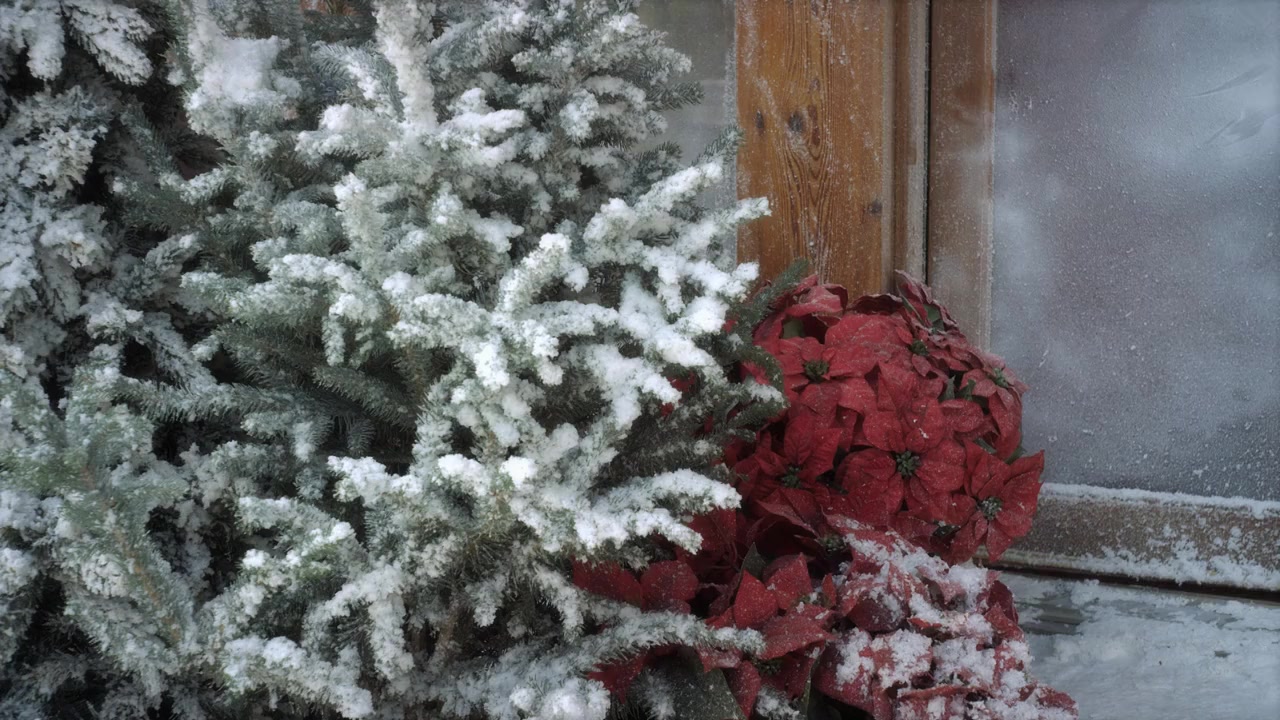 A Snow Globe Christmas screenshot 1