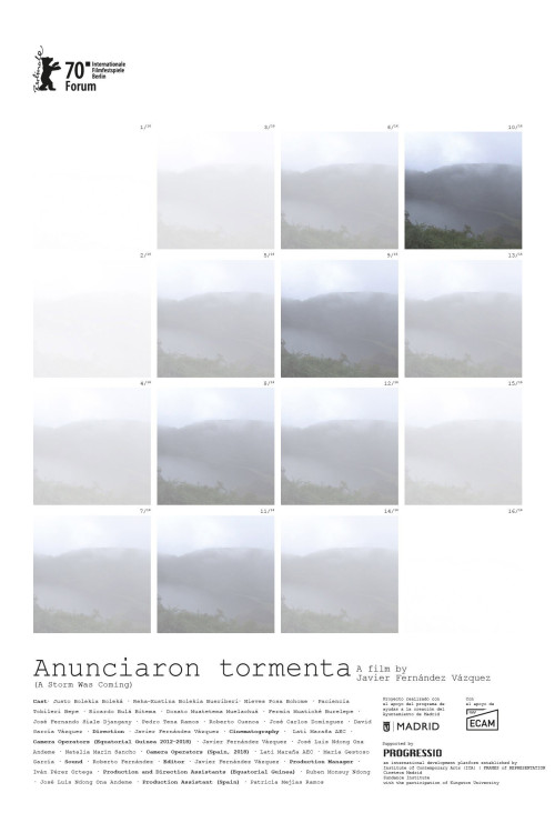 Anunciaron tormenta (2020) poster