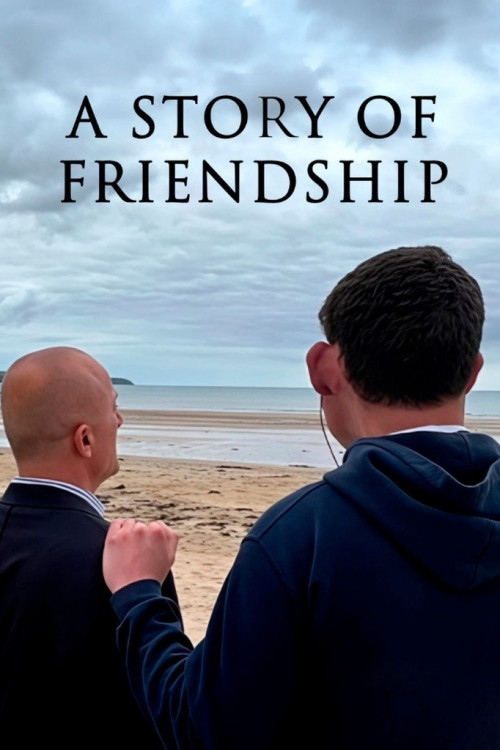 A Story of Friendship (2025) poster