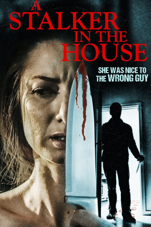 A Stalker in the House (2021) poster