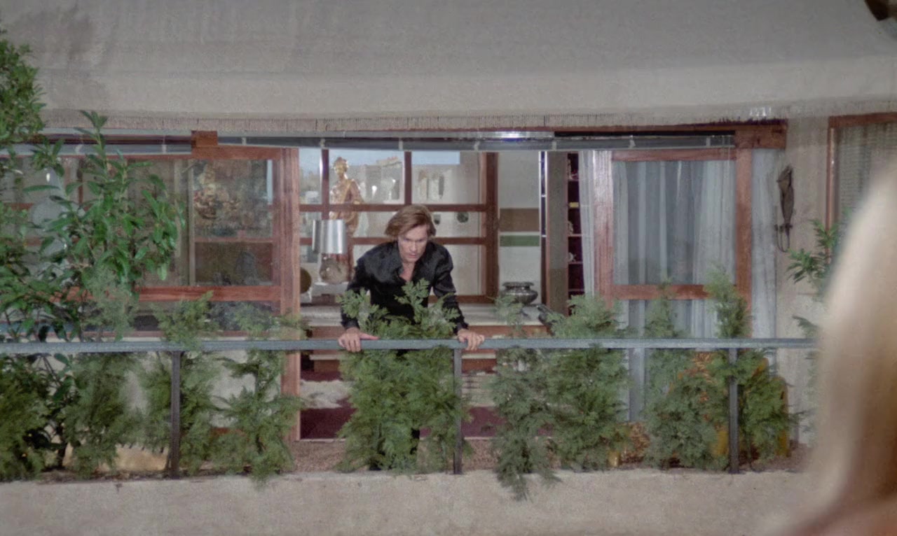 A Strange Love Affair screenshot 1