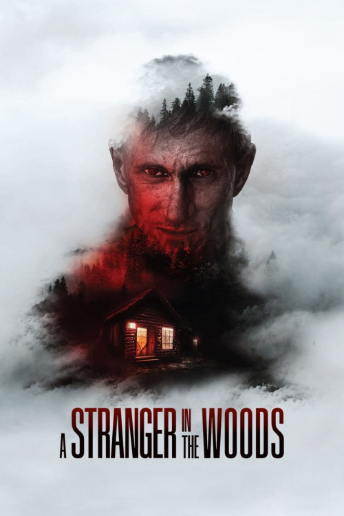 A Stranger in the Woods (2024) poster