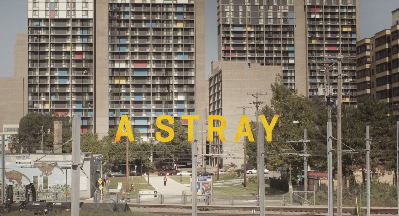 A Stray screenshot 1