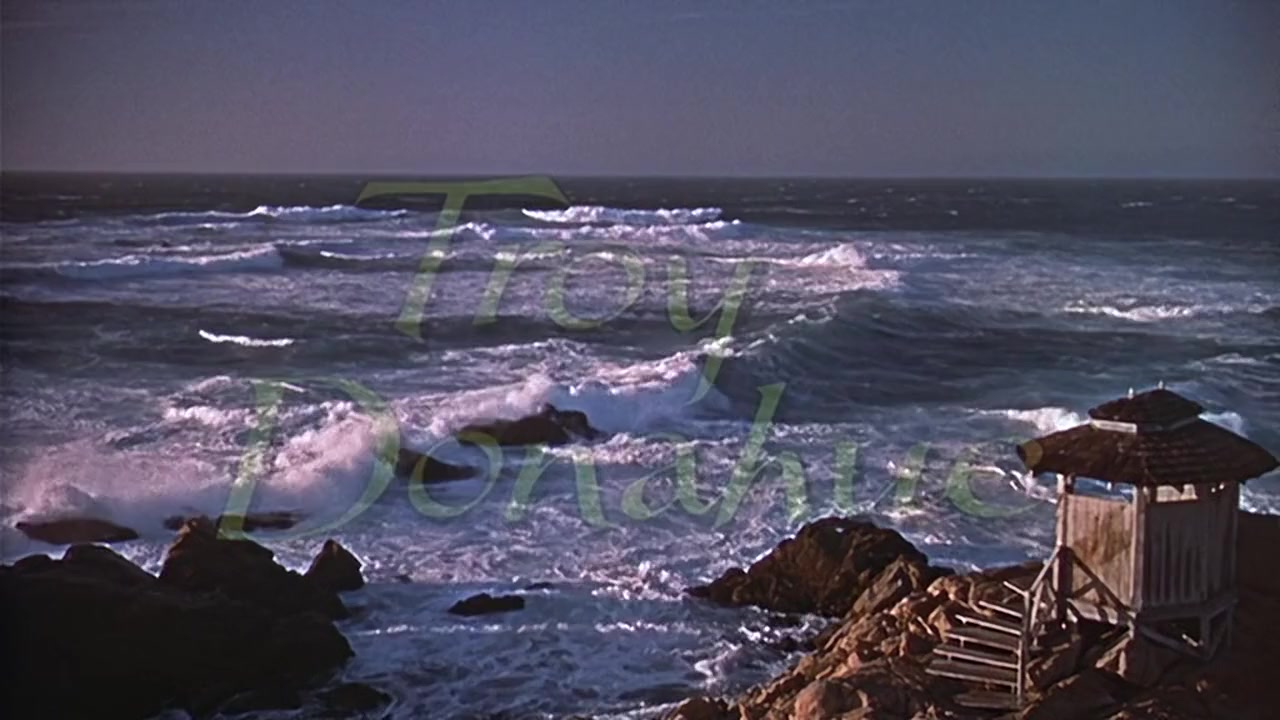 A Summer Place screenshot 2