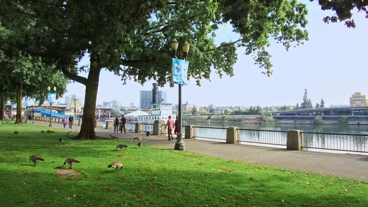 A Summer to Remember screenshot 1