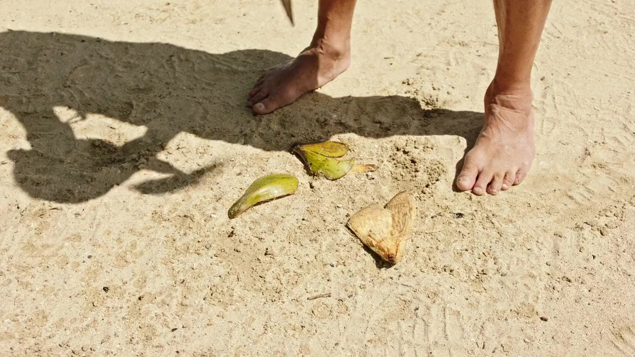 A Summer to Remember screenshot 2