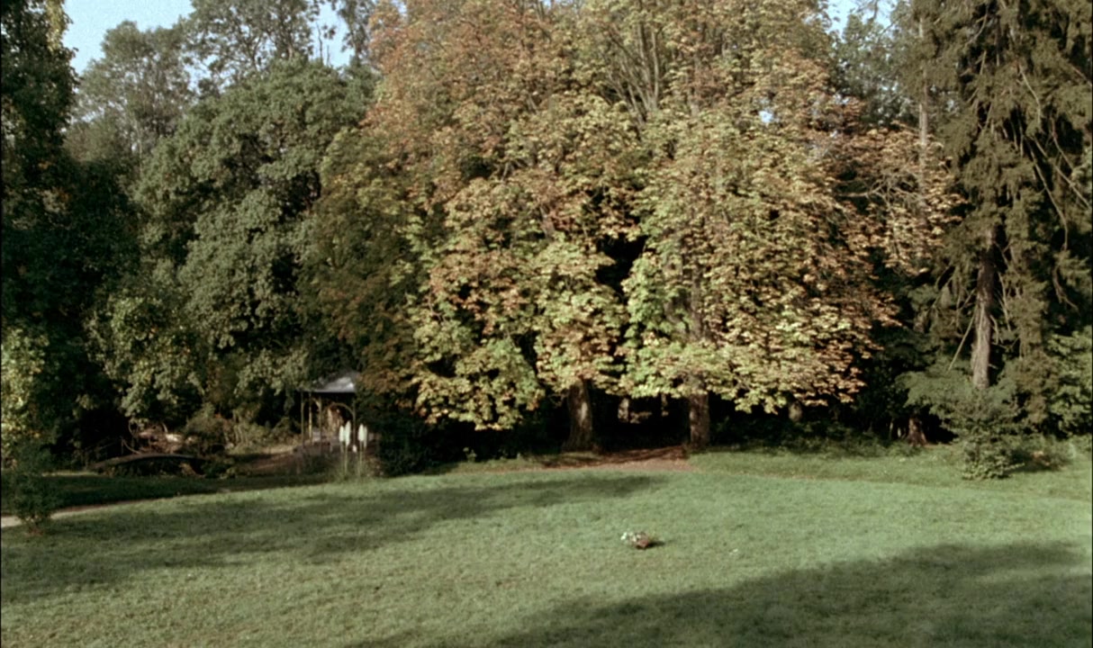 Un dimanche à la campagne screenshot 1