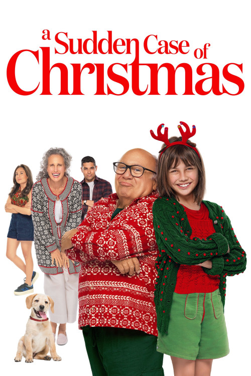 A Sudden Case of Christmas (2024) poster